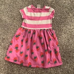Hanna Anderson 4T dress
